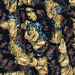 Brown Cord